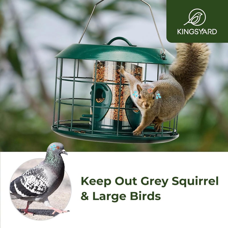 Kingsyard Tube Squirrel Proof Bird Feeders for Outdoor Hanging, Metal Caged Bird Feeder with Rain Proof Covered for Wildbirds Finches Bluebird, 4 Feeding Ports, Green - Image 4